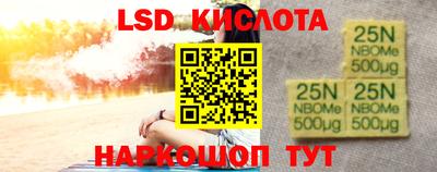 стаф Можга