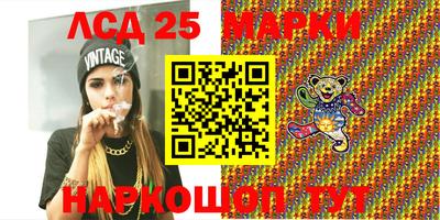 стаф Можга