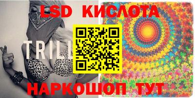 стаф Можга
