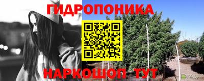 spice Можайск