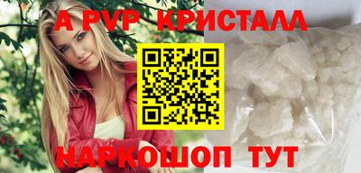 стаф Можга