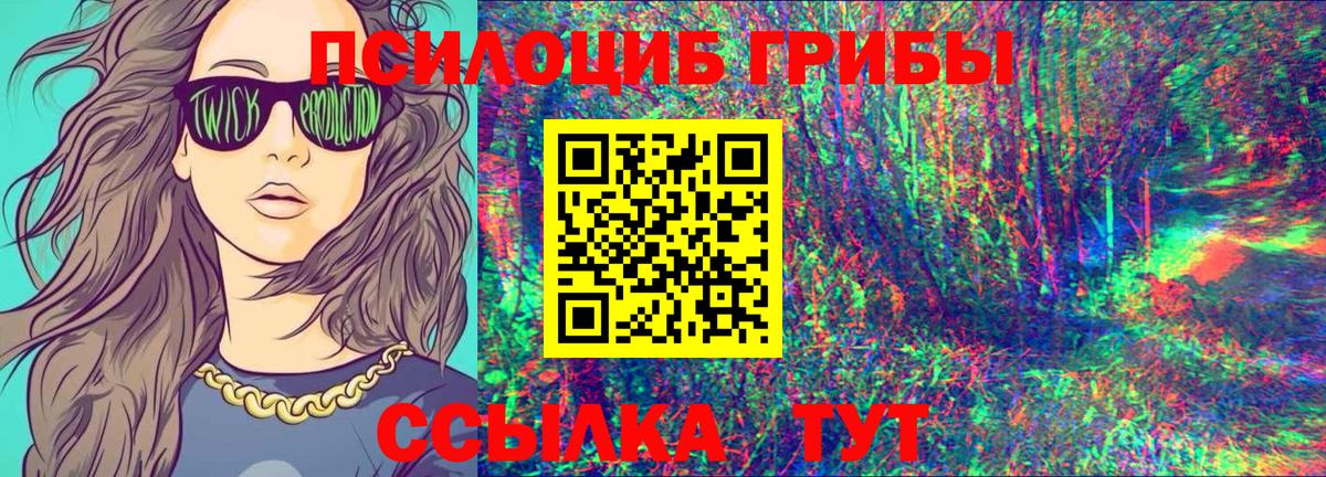 Псилоцибиновые грибы Psilocybine cubensis  что такое   Псилоцибиновые грибы мухоморы  Ирбит 